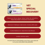 Vets Special Recovery Cat 185g 5 Pcs - Image 2