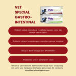 Vets Special Gastrointestinal Cat 185g - Image 2