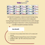 Vets Special Hepatoprotector Dog Hepatic Makanan Basah Anjing 185gr - Image 3