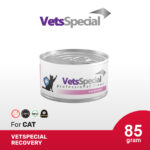 Vets Special Recovery Cat 85 GR