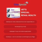 Vets Special Renal Health Cat 185gr - Image 2